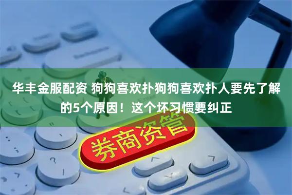 华丰金服配资 狗狗喜欢扑狗狗喜欢扑人要先了解的5个原因！这个坏习惯要纠正
