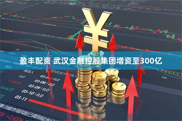 盈丰配资 武汉金融控股集团增资至300亿